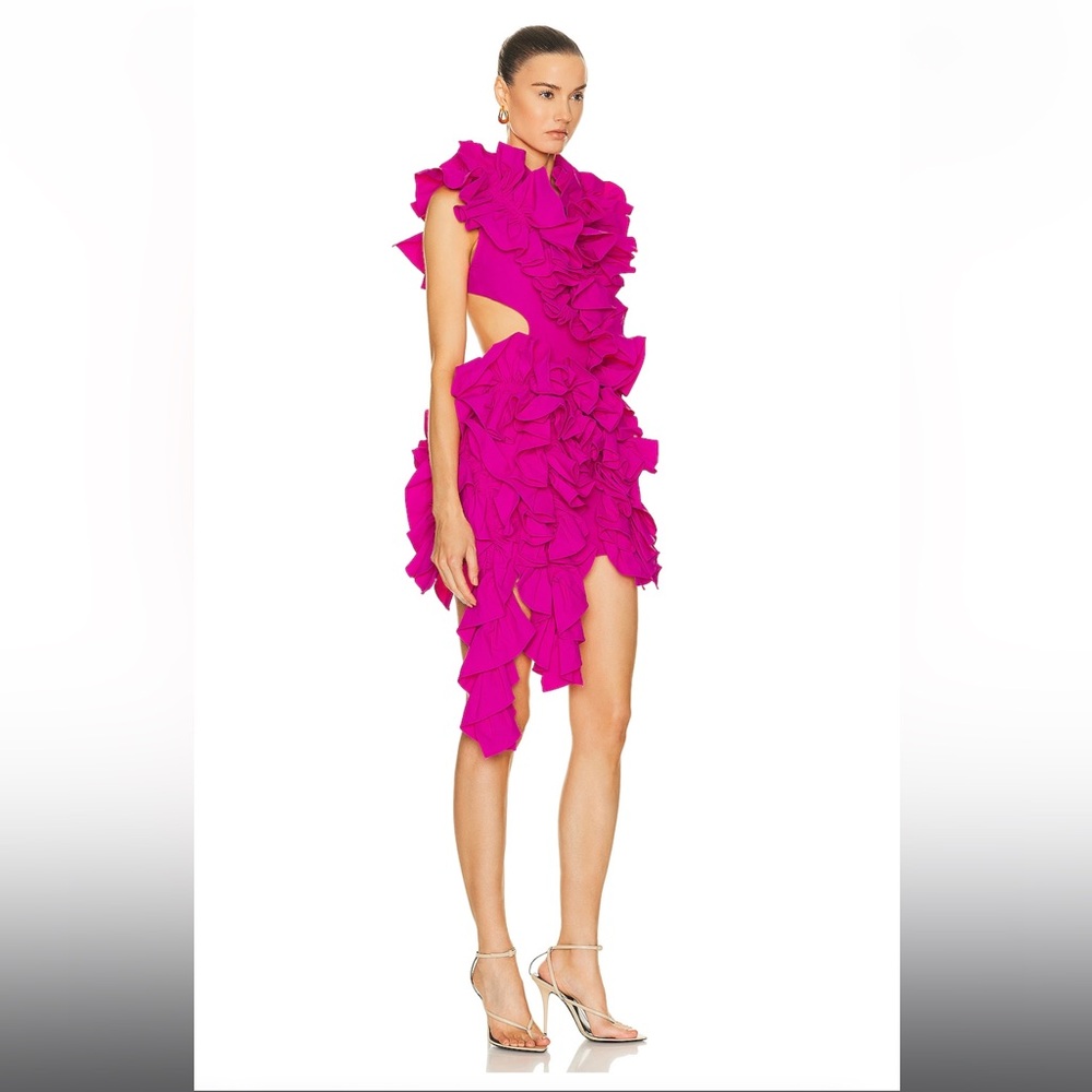 AKNVAS
Olive Ruffle Dress
Color: Hibiscus
Size: 4 - Picture 3 of 5